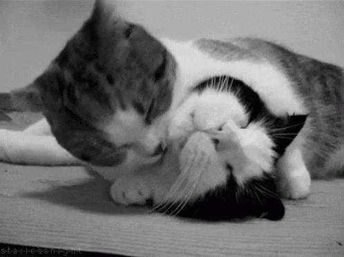 Neck Kisses GIF