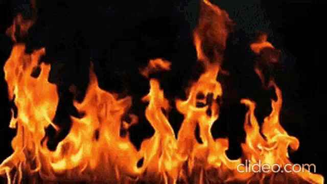 Neemon Inferno GIF