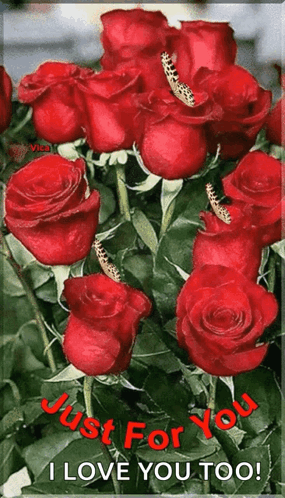Neked Just For You GIF