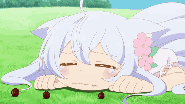 Neko Anime GIF
