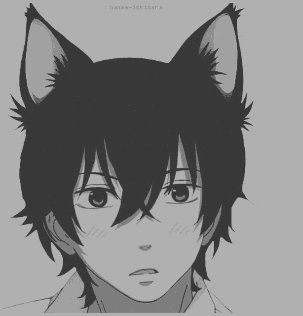 Neko Hime Anime GIF