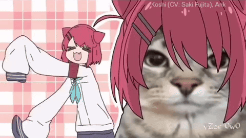Neko Nekoyamada Shikonokonokonokokoshitantan GIF