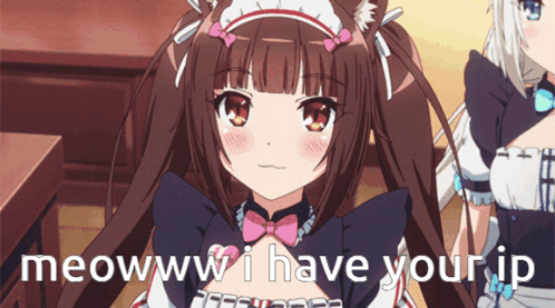 Nekopara GIF