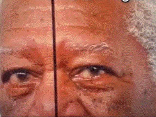 Nelson Mandela GIF