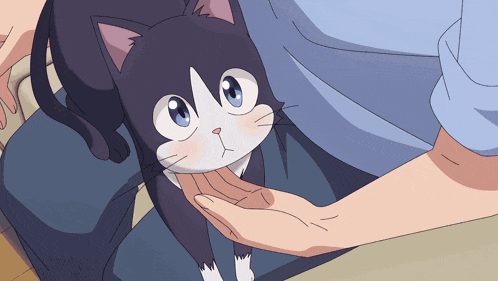 Nemu Miyau GIF