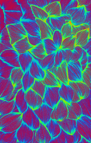 Neon Trees GIF