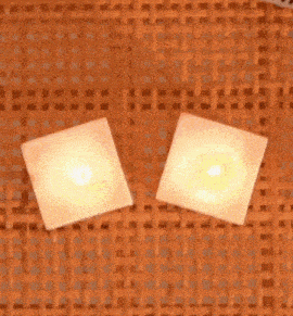 Nepunator Cat GIF