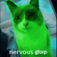 Nervous Glorp Glorp Cat GIF