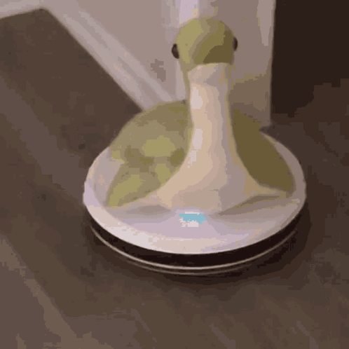 Nessie Roomba GIF. This 498 x 498 animated GIF is part of our loch ness collection. Created by DenKaShi. View the original animation, share it, or browse…