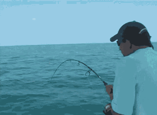 Netcoin Crypto GIF