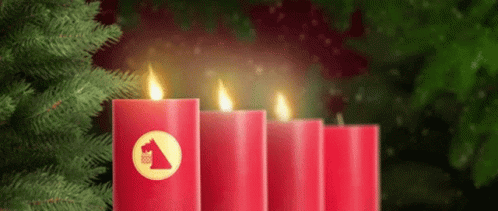 Netto Nettodeutschland GIF