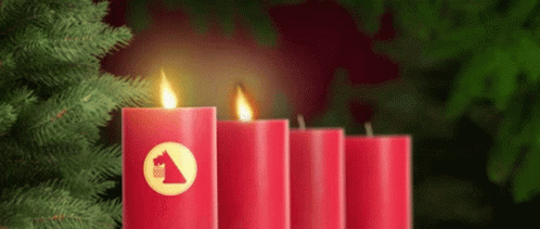 Netto Nettodeutschland GIF. This 498 x 211 animated GIF is part of our guten morgen zweiter advent collection. Related themes include candle, christmas…
