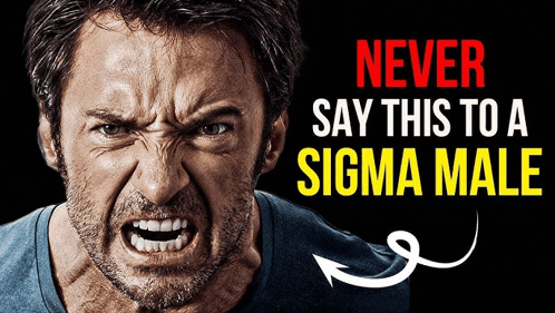 Never Say This To A Sigma Dinomine22 Meme