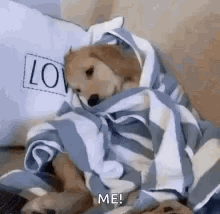 Neverfenty GIF