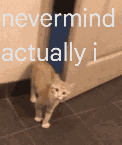 Nevermind Actually I Nevermind Actually I Cat GIF