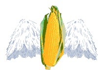 New Corn Order Corn Site Sticker
