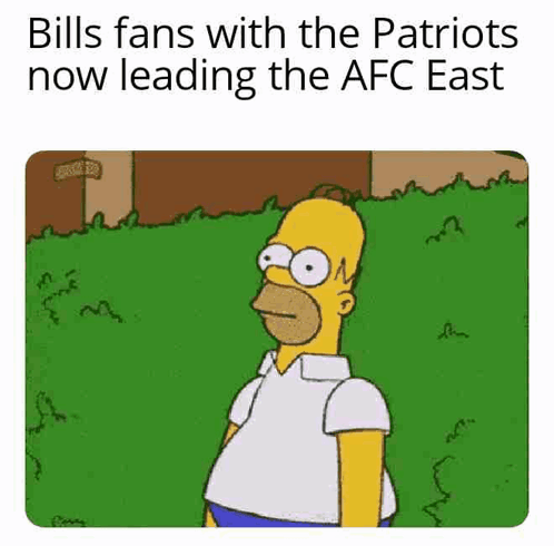 New England Patriots Bills GIF. This 498 x 490 animated GIF is part of our homer simpson hedge collection. Related themes include funny, homer bushes, nfl…