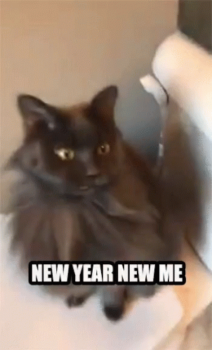 New Year New Me Funny GIF