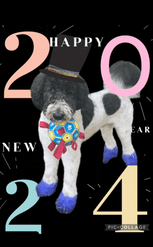 New Years Eve New Year Eve Meme