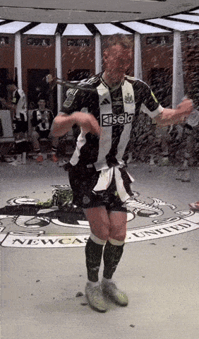 Newcastle Newcastle United GIF