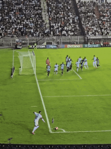 Neymar Gol GIF