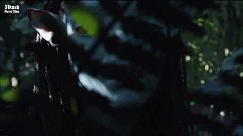 Neytiri Avatar GIF