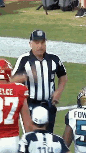 Nfl Refs GIF