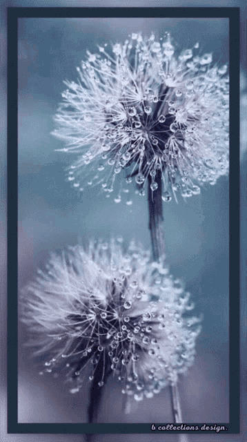 Nft Creative GIF