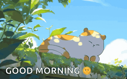 Ngan Pham Kitten GIF