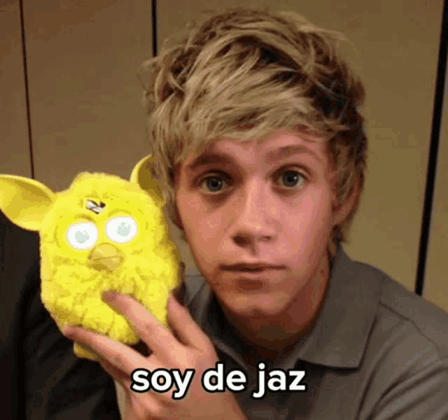 Niall Fetus Niall Horan GIF