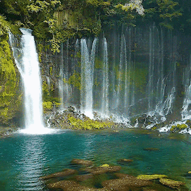 Nice Day Our Earth GIF