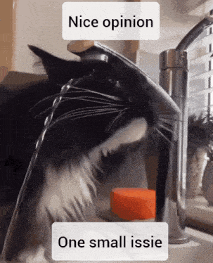 Nice Opinion Small GIF