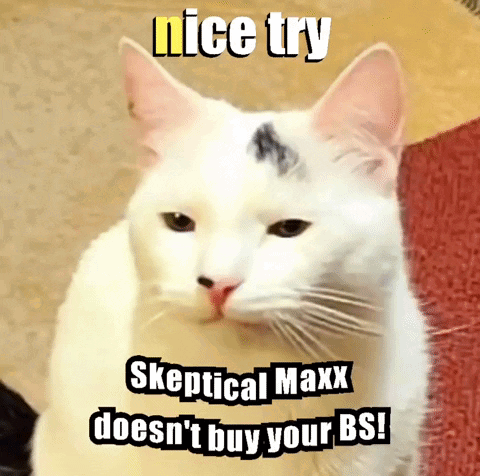 Nice Try Skeptical GIF