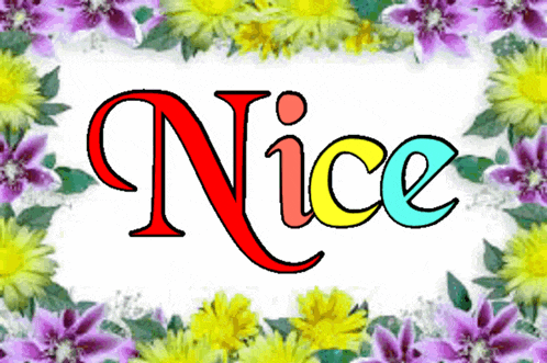 Nice Very Nice GIF