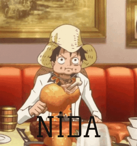 Nida Nidas GIF