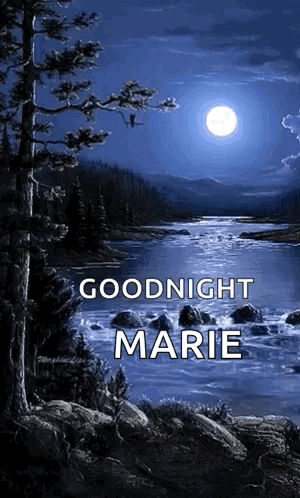 Night Moon GIF