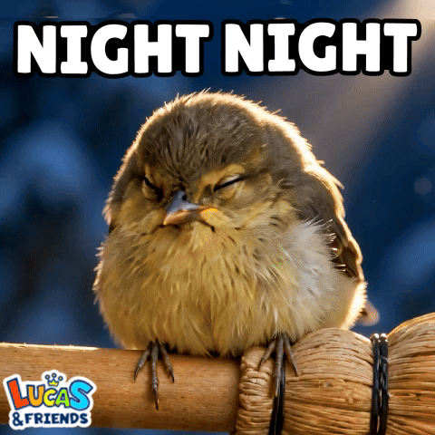 Night Night Good Night GIF. This 480 x 480 animated GIF is part of our sleep collection. Related themes include bedtime, good night, night night. Created by…