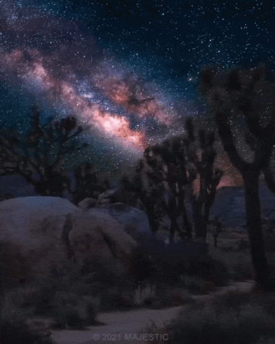 Night Sky GIF