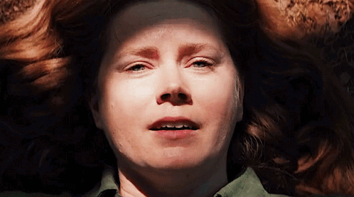 Nightbitch Amy Adams GIF