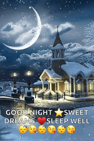 Nighttime Snow GIF