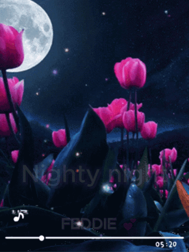 Nighty Night Feddie Good Night Feddie GIF