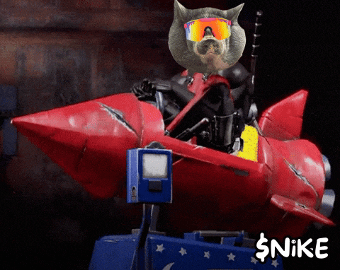 Nikepig GIF