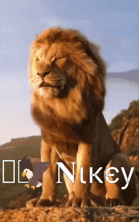 Nikey 46 Vr46 GIF