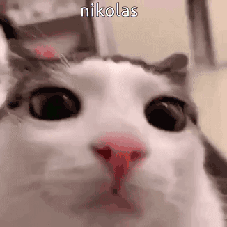 Nikolas Nikolas Giannopoulos GIF
