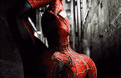 Ninja-aranha GIF