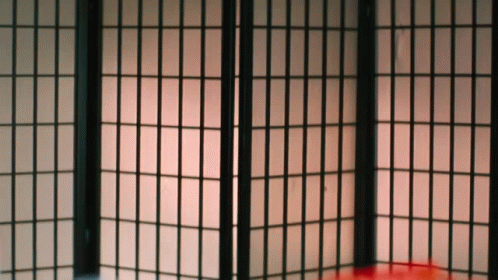 Ninja Funny Ninja GIF