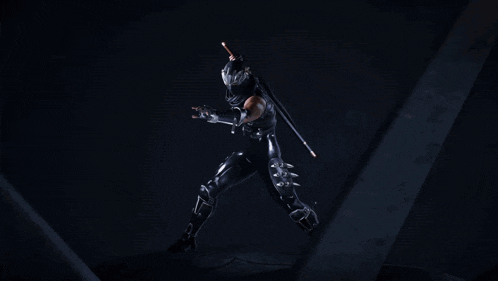 Ninja Gaiden 2 Ninja Gaiden 4 GIF