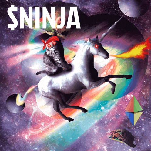 Ninja Meme