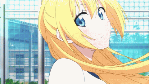 Nisekoi  GIF. This 480 x 271 animated GIF is part of our shaft head tilt collection. Related themes include anime. View the original animation, share it, or…