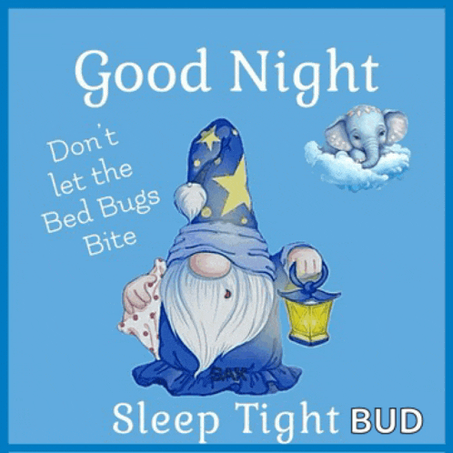 Nitr Nite Nite Meme